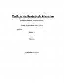 VERIFICACION ALIMENTARIA