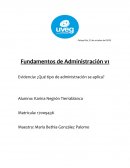 Administracion. Principios de Henry Fayol