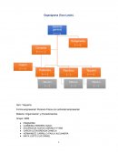 Organigrama. Persona Física con actividad empresarial
