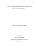 PROJECT MANAGEMENT LITE: UNA VISIÓN SIMPLE Y SENCILLA PARA CONSEGUIR REALIZAR EL TRABAJO