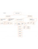 Modelos de organigramas