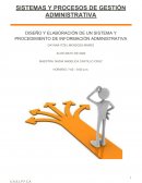DISEÑO Y ELABORACIÓN DE UN SISTEMA Y PROCEDIMIENTO DE INFORMACIÓN ADMINISTRATIVA