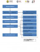 OPERACIONES ALGEBRAICAS BLOQUE V