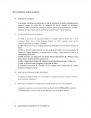 Breve reseña de la empresa a analizar: IO Peldar S.A