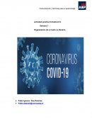 INFORME DEL CORONAVIRUS