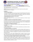 MENTES BRILLANTES – Los secretos del cosmos