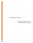 EL DIRCOM EN LAS ORGANIZACIONES