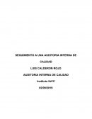 AUDITORIA INTERNA DE CALIDAD . AGUAS NUEVO SUR , COCA-COLA