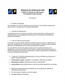 Sistemas de Información En Ambientes Internacionales
