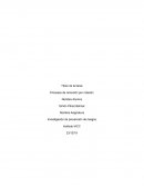 Caso empresa Las Araucarias Ltda