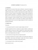 El equipo que no fue