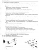 Físico-química reacciones nucleares