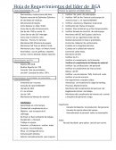 Hoja de Requerimientos del líder de BGA