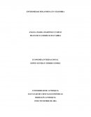 ENFERMEDAD HOLANDESA EN COLOMBIA