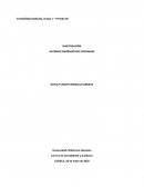 SISTEMAS INFORMATICOS CONTABLES