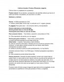 Cultivos Anuales: Porotos (Phaseolus vulgaris)