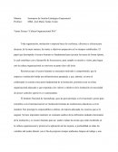 Cultura organizacional INA