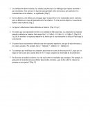 Laboratorio Probabilidad