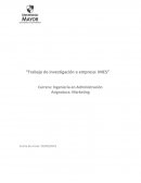 Trabajo de investigación a empresa: MIES