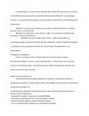 Metodologia. Presupuestos conceptuales