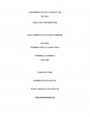 BURBUJA FINANCIERA SUBPRIME