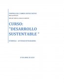 CURSO: "DESARROLLO SUSTENTABLE “ comunidad de El Rincón