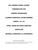 ATENCIÓN A LA DIVERSIDAD