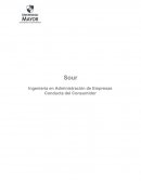 Sour Ingeniería en Administración de Empresas Conducta del Consumidor
