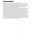 Resumen Del Constructivismo de Piaget