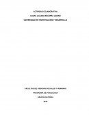 PROGRAMA DE PSICOLOGIA NEUROANATOMIA