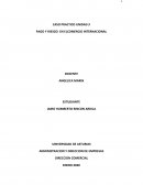 PAGO Y RIESGO EN EL COMERCIO INTERNACIONAL