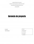 Ingeniería de proyecto