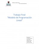 Trabajo Final “Modelo de Programación Lineal”