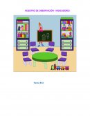 Registro de observación e indicadores