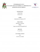 Seguros del Sistema de Seguridad Social