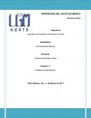 Laboratorio de Desarrollo Psicomotor en Niños