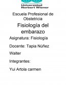 Fisiologia de la gestacion