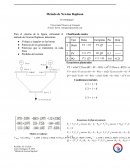 Método de Newton Raphson