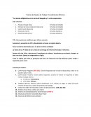 Procedimientos minimos de auditoria