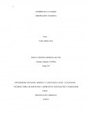 Analisis del test de estilos de aprendizaje “Inventario de Felder”