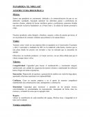 Plan de negocio de una panaderia “EL MOLLAR”