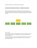 RESULTADO DEL ANALISIS DE LA FUNCION DE MEZCLA DE MERCADO