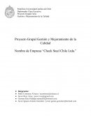Gestion de personas. Empresa “Check Steel Chile Ltda.”