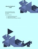 Principales estandares de calidad