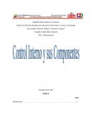 PNF. Administración. Control interno y sus componentes