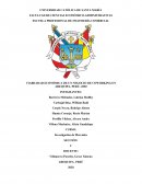 VIABILIDAD ECONÓMICA DE UN NEGOCIO DE COWORKING EN AREQUIPA, PERÚ- 2020