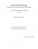 Procesamiento Digital de Bioseñales e Imágenes