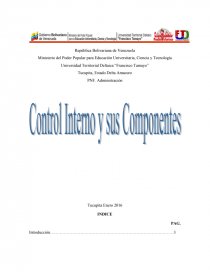 PNF. Administración. Control interno y sus componentes. Página 1