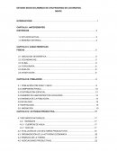 ESTUDIO SOCIO-ECONOMICO DE CHILPANCINGO DE LOS BRAVOS