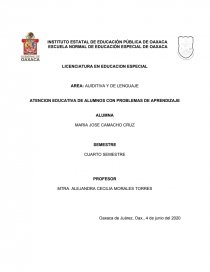 ATENCION EDUCATIVA DE ALUMNOS CON PROBLEMAS DE APRENDIZAJE. Página 1